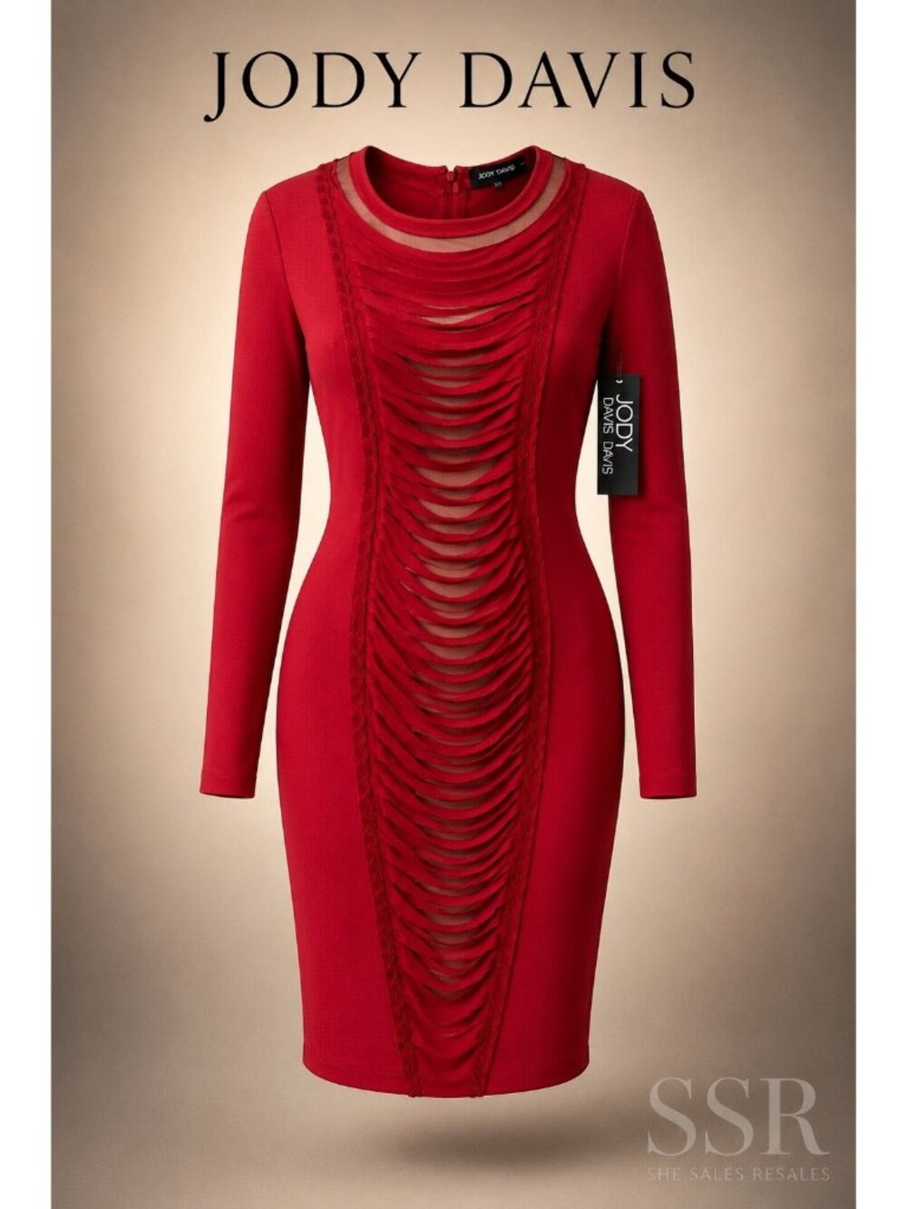 Jody Davis Slash Front Lycra Mesh Dress Size 12 NWT Red Avant-Garde Statement Sh